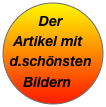 Der Artikel mit d.schönsten Bildern